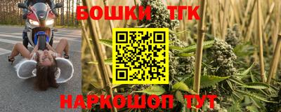 тгк Заводоуковск
