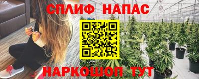 стафф Заволжье