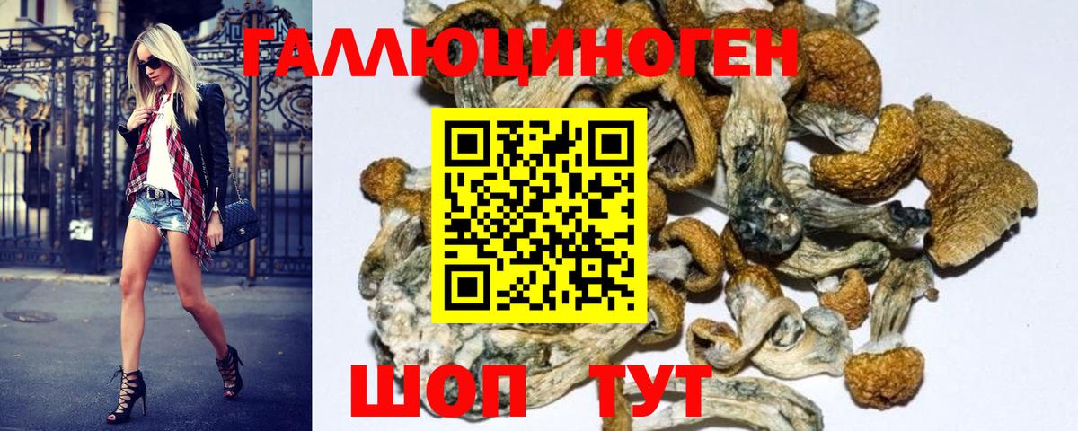 Кондопога  Псилоцибиновые грибы Psilocybine cubensis  Вход с VPN 